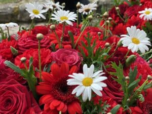 IMG 0941 Gartenglück & Blütenkunst